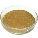 ����ҹ���